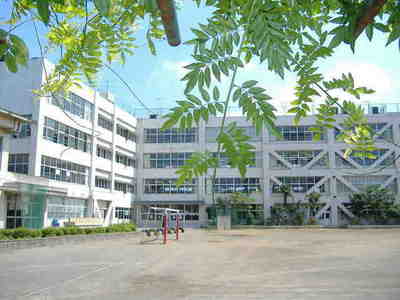 Primary school. The second up to elementary school (elementary school) 313m