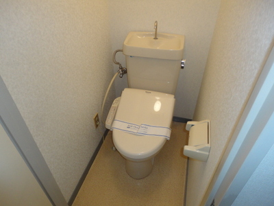 Toilet. With Washlet! 