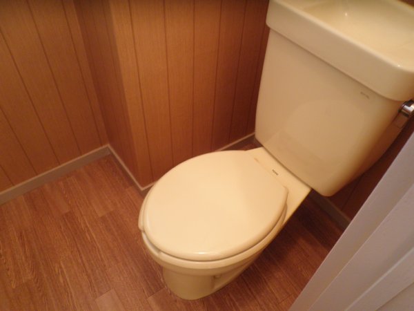 Toilet