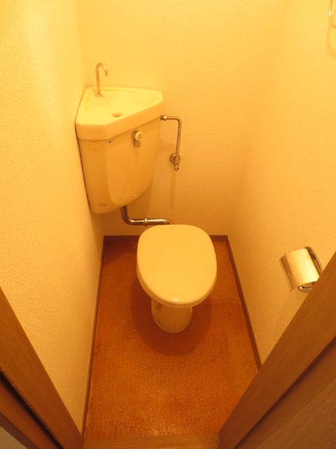 Toilet. Toilet with cleanliness