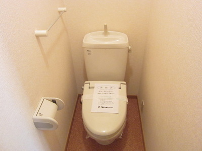 Toilet. Toilet with cleanliness