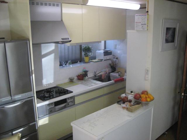 Kitchen. Indoor (11 May 2013) Shooting