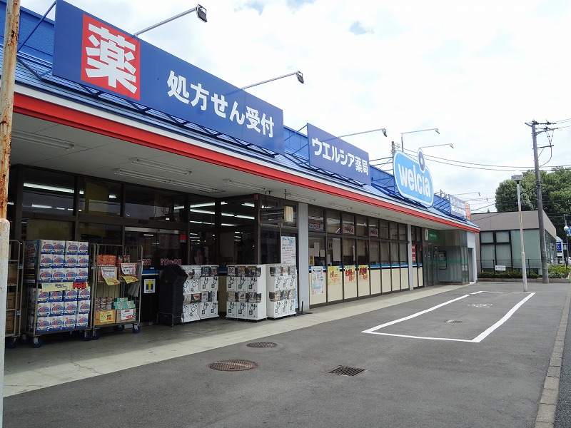 Other. Uerushia pharmacy Tachikawa young leaves store up to (other) 862m