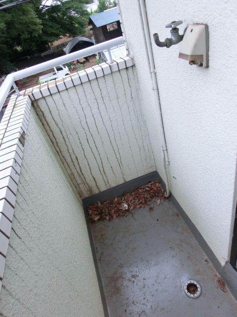 Balcony. Laundry will dry well on the south-facing veranda