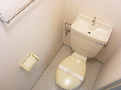 Toilet. Toilet with cleanliness