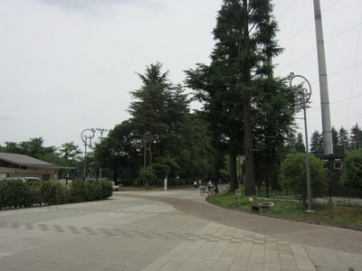 park. 870m until the Showa Memorial Park (Park)