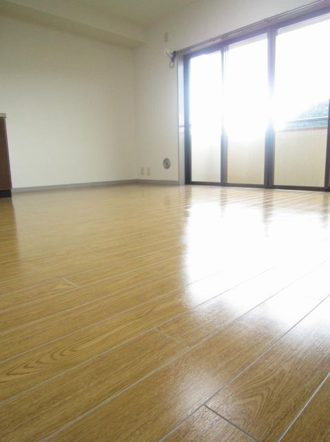 Living and room. Facing south in sunny flooring of the room