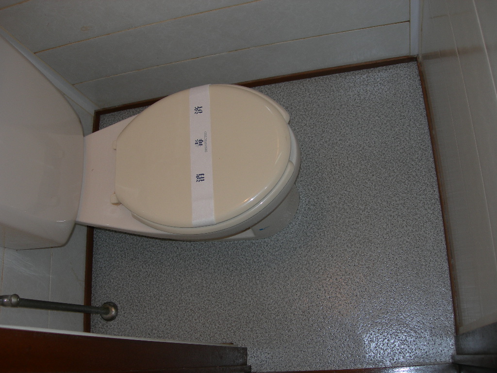 Toilet. It is already cleaned and disinfected