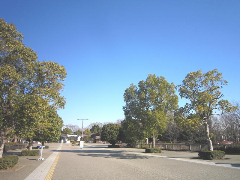 park. 400m until the Showa Memorial Park