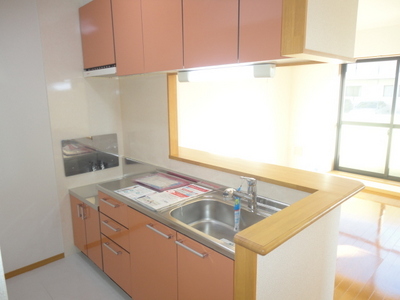 Kitchen. Popular counter kitchen type