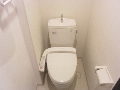 Toilet. Happy Washlet