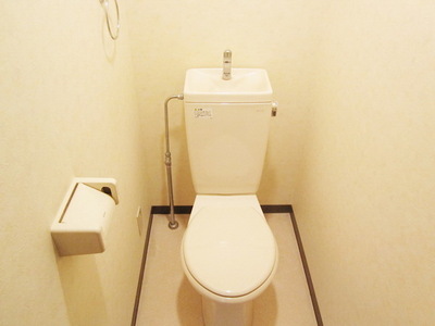 Toilet.  ☆ Your toilet ☆ 