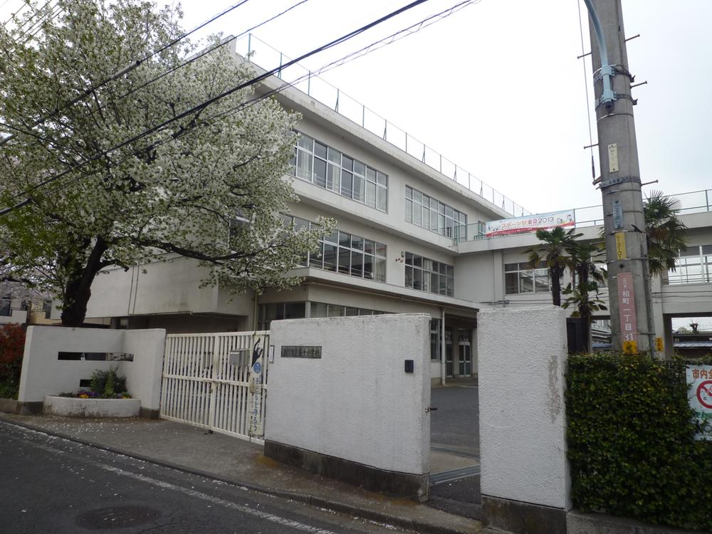 Primary school. 399m to Tachikawa Municipal tenth elementary school