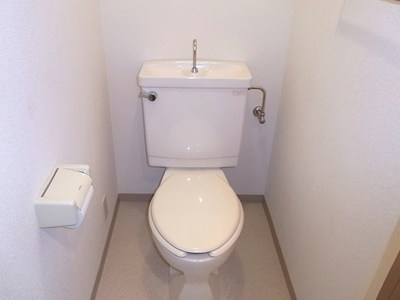 Toilet. Toilet