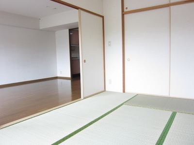 Other. Calm Japanese-style room