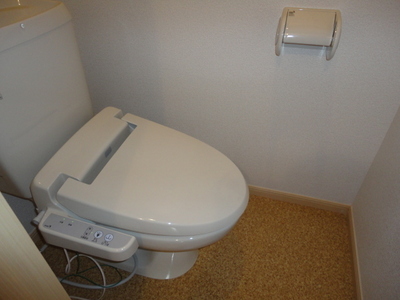 Toilet. Bidet with toilet