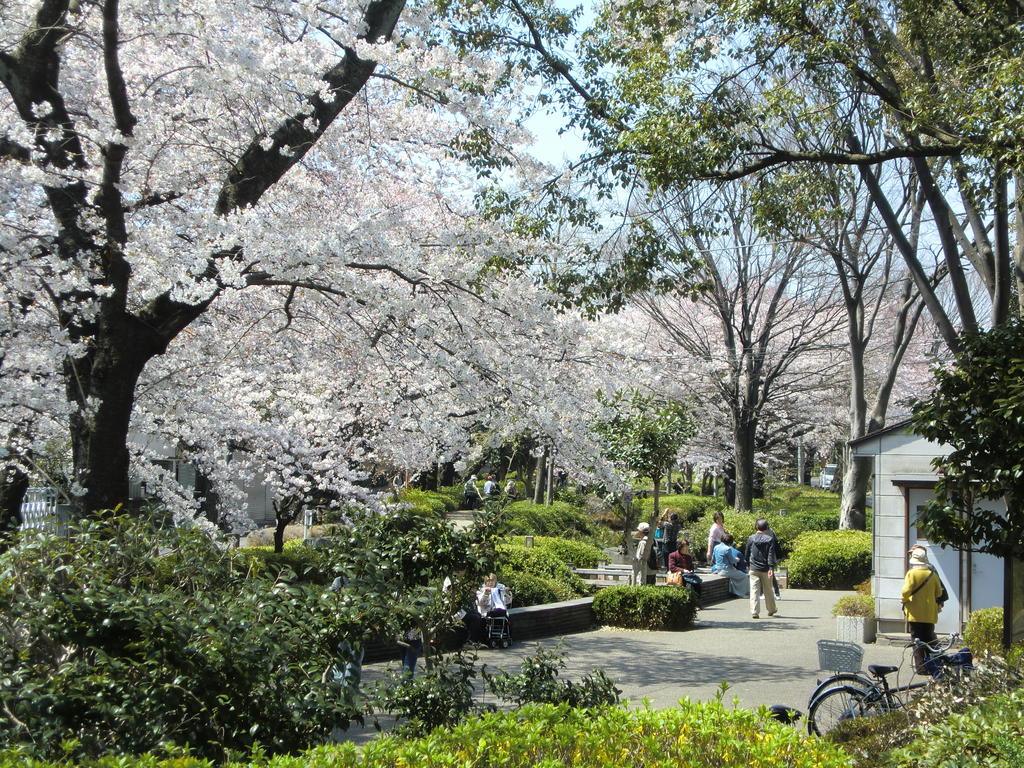 park. Negawa Midorido until the (park) 100m