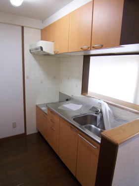 Kitchen. Face-to-face kitchen gas stove 2 burners installed Allowed. There top hanging cupboard.