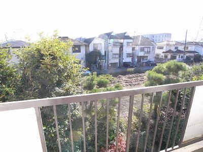 Balcony. Veranda