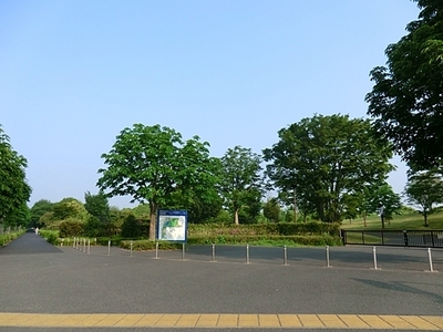 park. 800m until the Showa Memorial Park (Park)