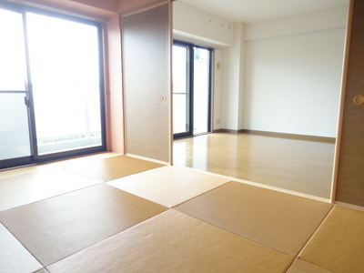 Living and room. Japanese style room