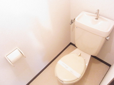 Toilet. Toilet with cleanliness