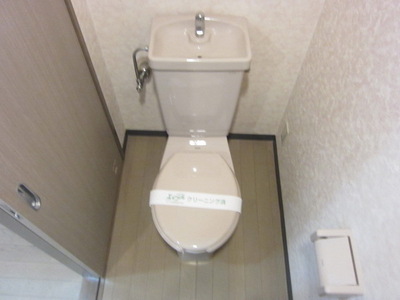 Toilet. Toilet with cleanliness