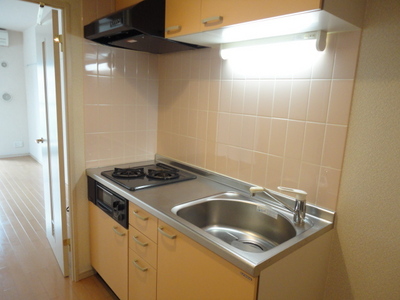 Kitchen. System kitchen. (Kitchen has a different color depending on your room or