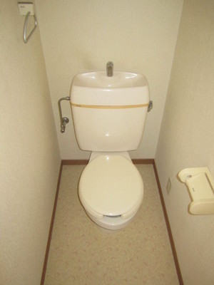 Toilet. Room with cleanliness