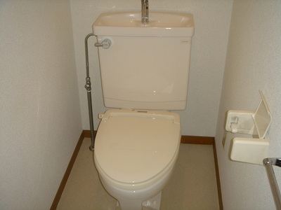 Toilet. Toilet