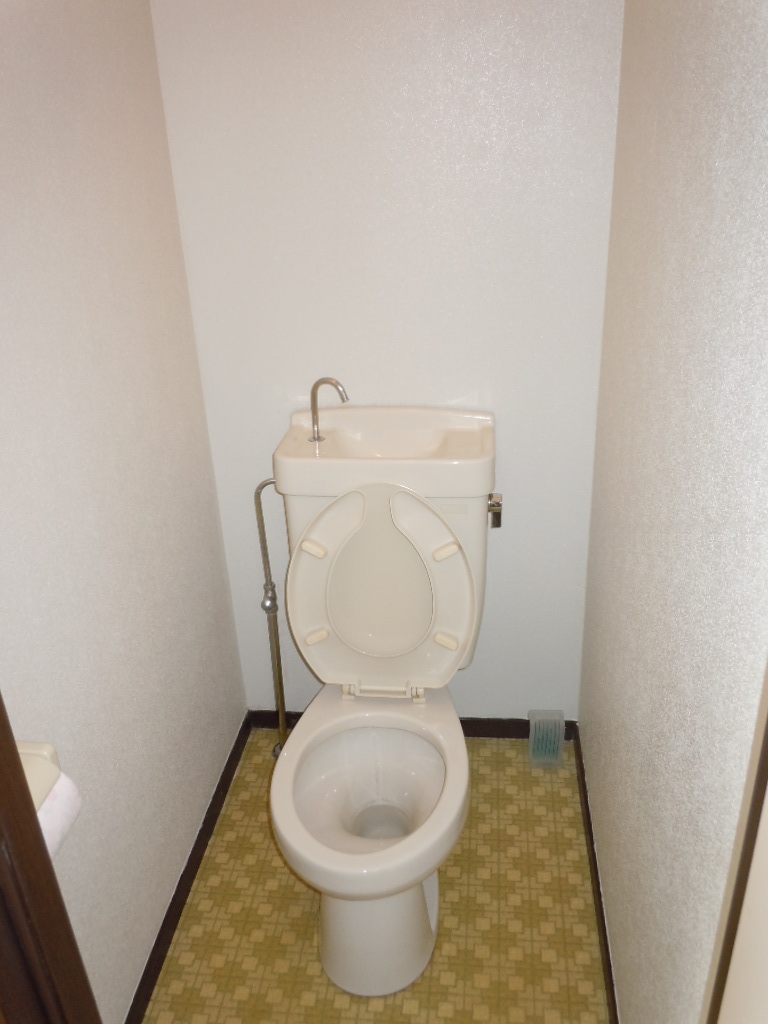 Toilet. Separated toilet