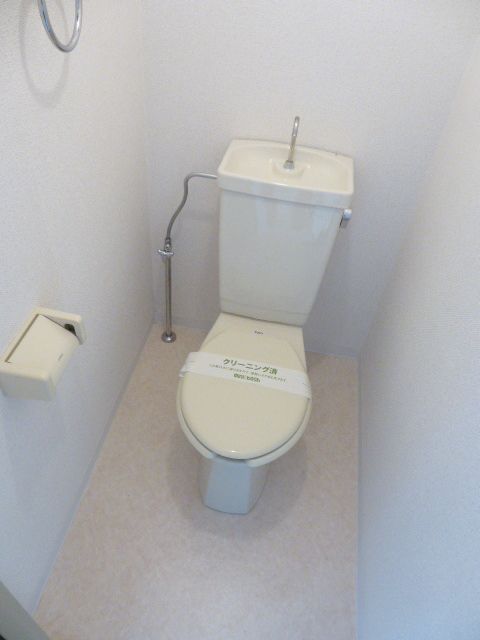 Toilet. It comes with a loft that there is as high as stand.