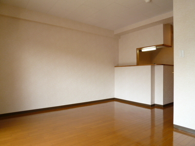 Other room space.  ☆ Counter Kitchen ☆