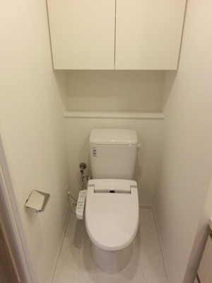 Toilet. Washlet toilet