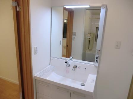 Wash basin, toilet. Vanity of a big one side mirror