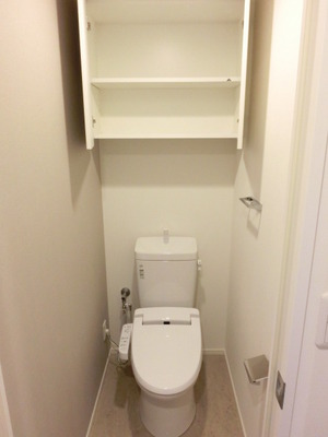 Toilet. Storage rack toilet