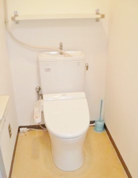 Toilet. Communal toilet