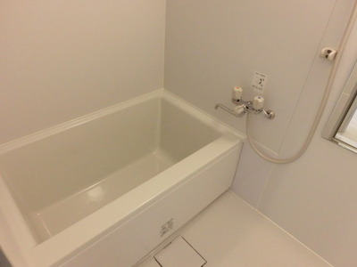 Bath. A clean bathroom