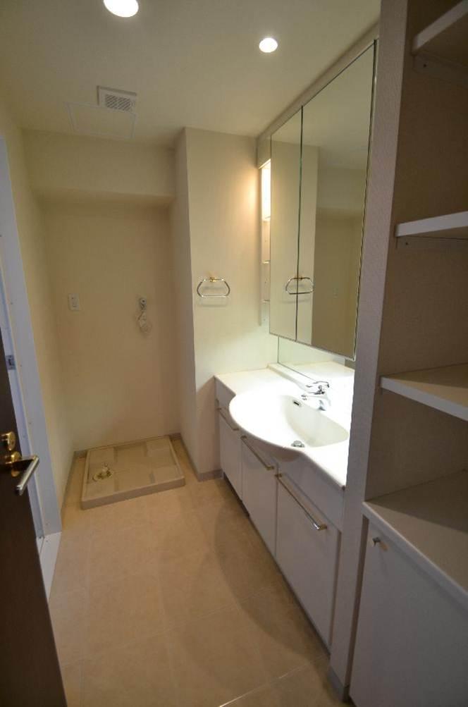 Wash basin, toilet. Bathroom vanity