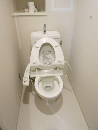Toilet. ~ 12 / 19 is a state in the interior construction work ~