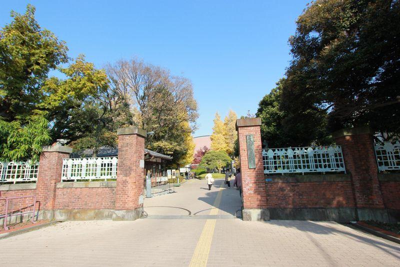 Other. Tokyo National University of Fine Arts and Music