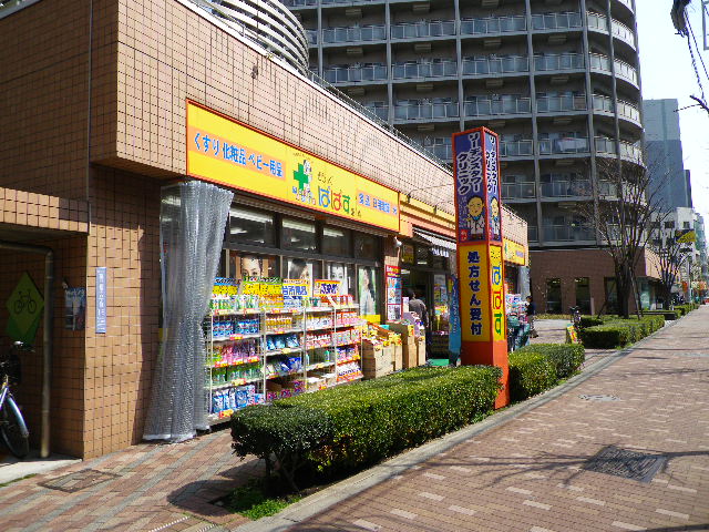 Dorakkusutoa. Drag Papas Higashinippori Lee dense Tower shop 421m until (drugstore)