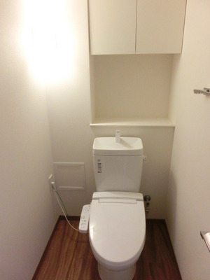 Toilet. It is with a popular cleaning toilet seat