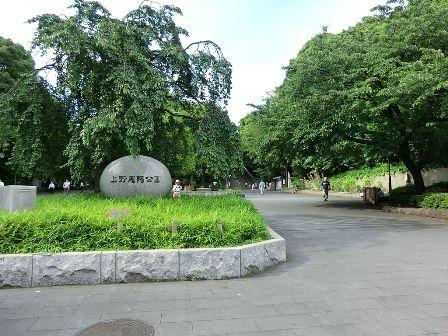 Streets around. Enhancement of the surrounding environment