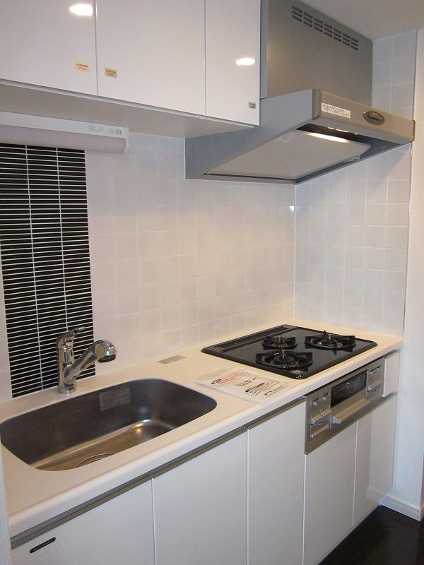 Kitchen. Indoor (10 May 2013) Shooting