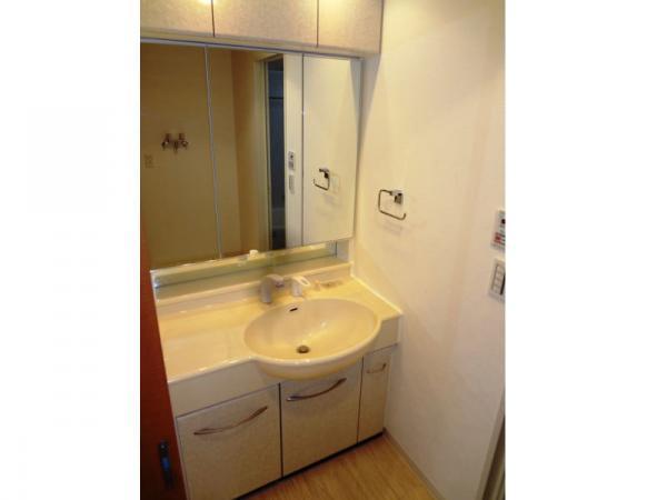 Wash basin, toilet. Bathroom vanity