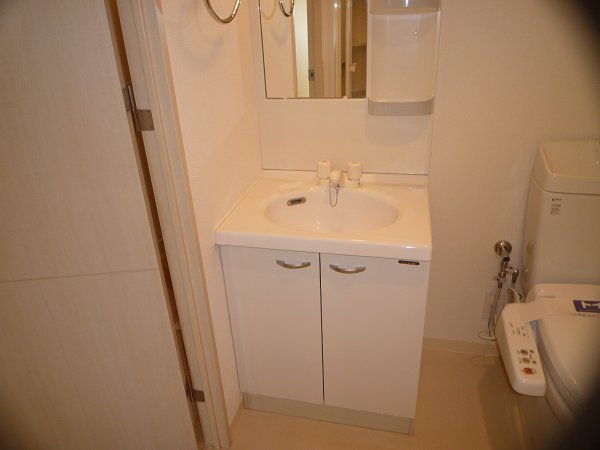 Other. Wash basin