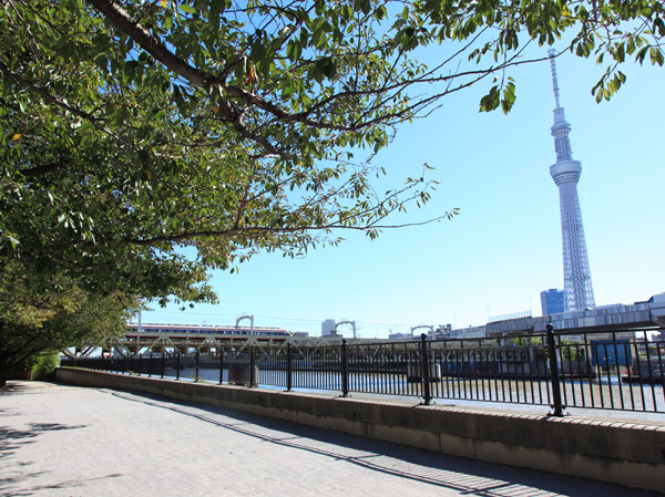 Surrounding environment. Sumida Park (walk 16 minutes / About 1230m)