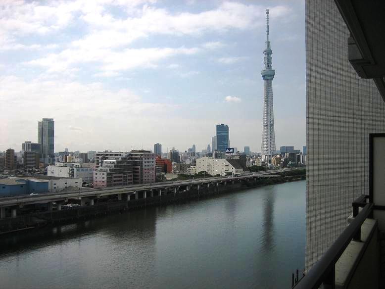 View photos from the dwelling unit. View from local