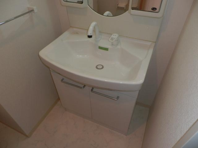 Washroom. Shampoo dresser